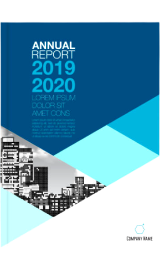 Poratada reporte anual 2019/2020
